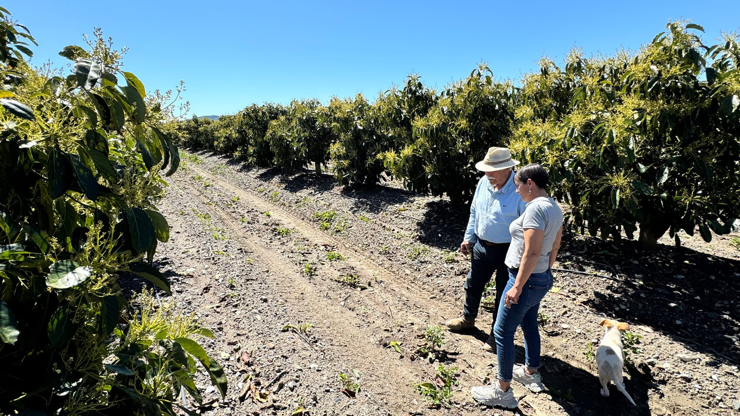 Manvert SAL 20L - Corrector de Salinidad Triple Acción