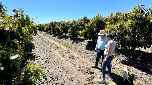 Manvert SAL 20L - Corrector de Salinidad Triple Acción