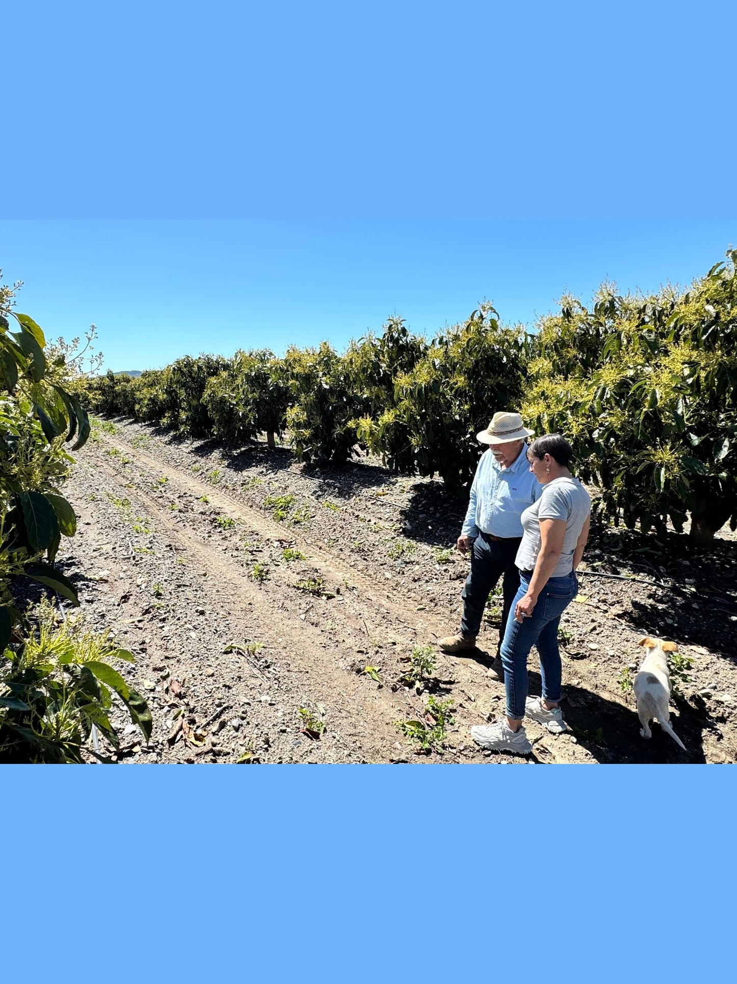 Manvert SAL 20L - Corrector de Salinidad Triple Acción