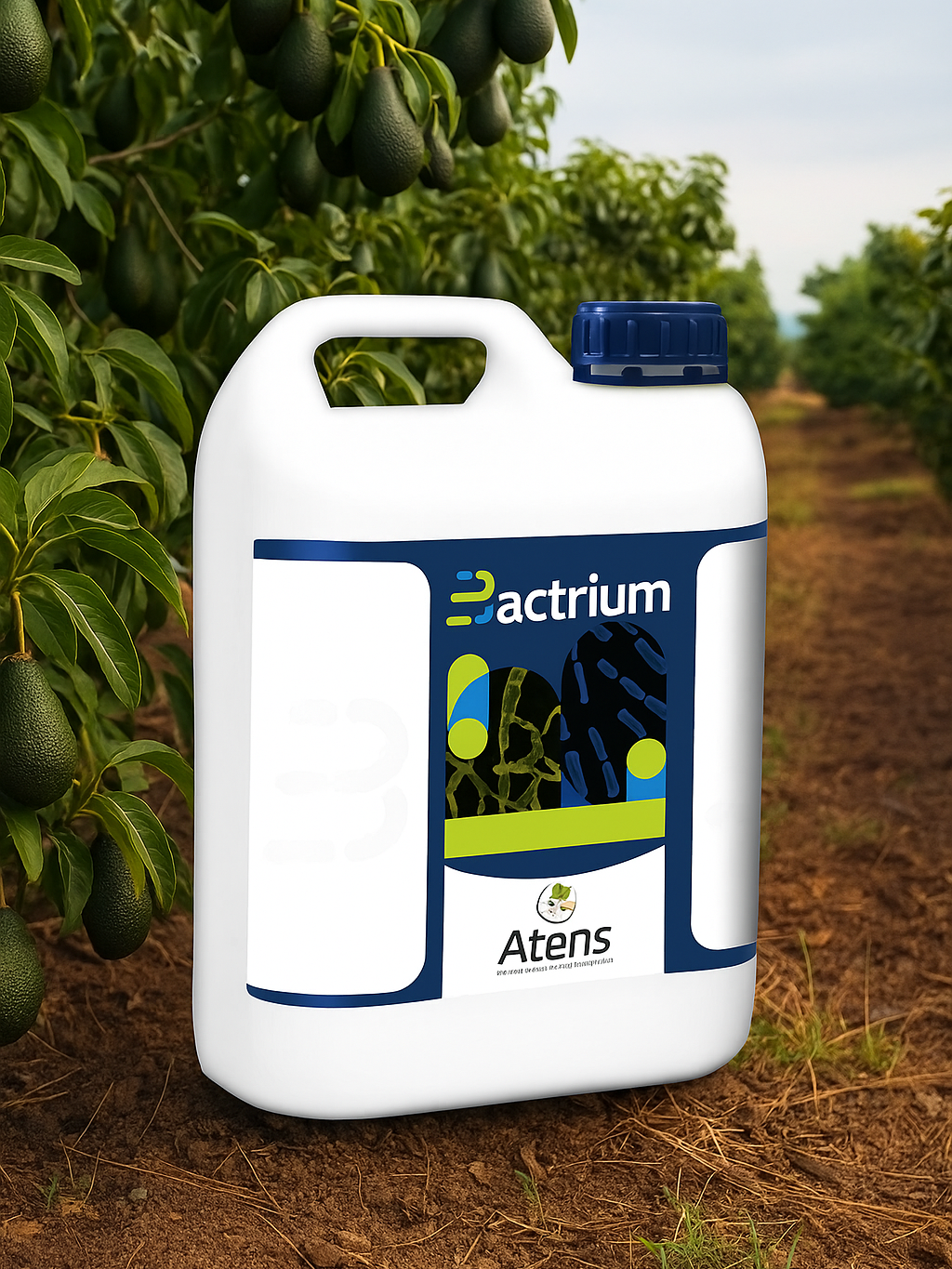 BACTRIUM - Bacillus megaterium Solubilizador de Fósforo | Biofertilizante Radicular