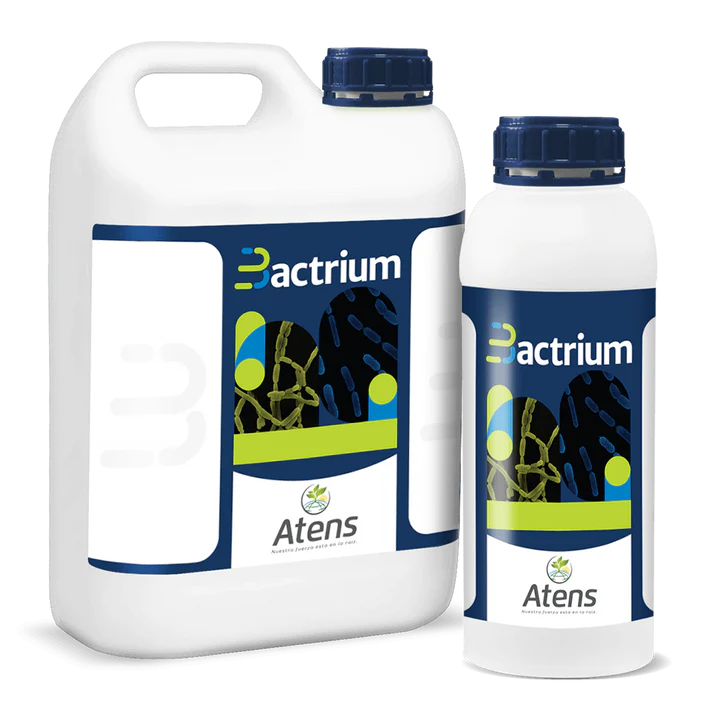 BACTRIUM Estimulante de las plantas aplicado en agua de riego