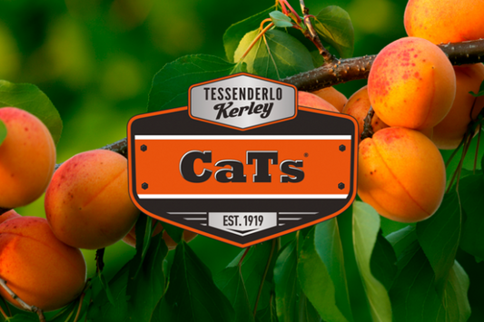 CATS 20L - Corrector de Sodio y Aporte de Calcio