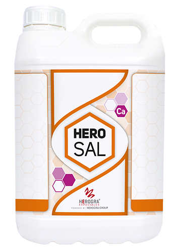 HEROSAL. Recupera suelos dañados por sales sódicas.