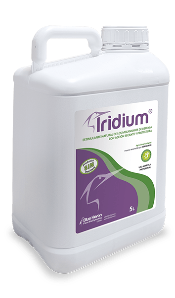 IRIDIUM. Oidio, ceniza