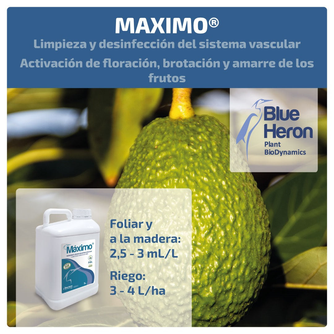 MAXIMO. Protector enfermedades externas, vasculares y de la madera