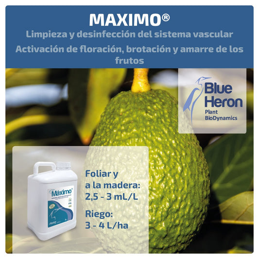 MAXIMO. Protector against external, vascular, and wood diseases