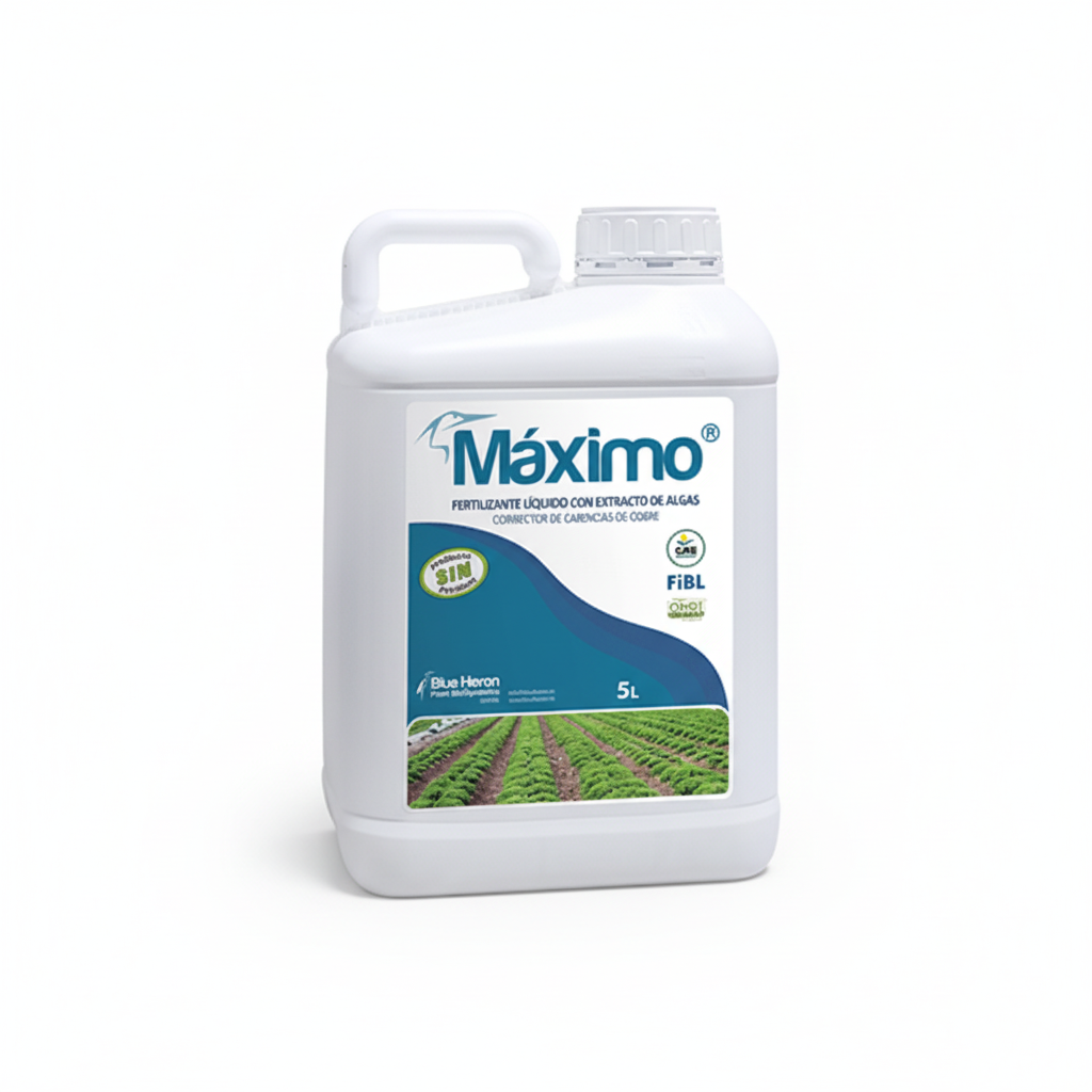 MAXIMO- Protector Cobre Enfermedades Vasculares