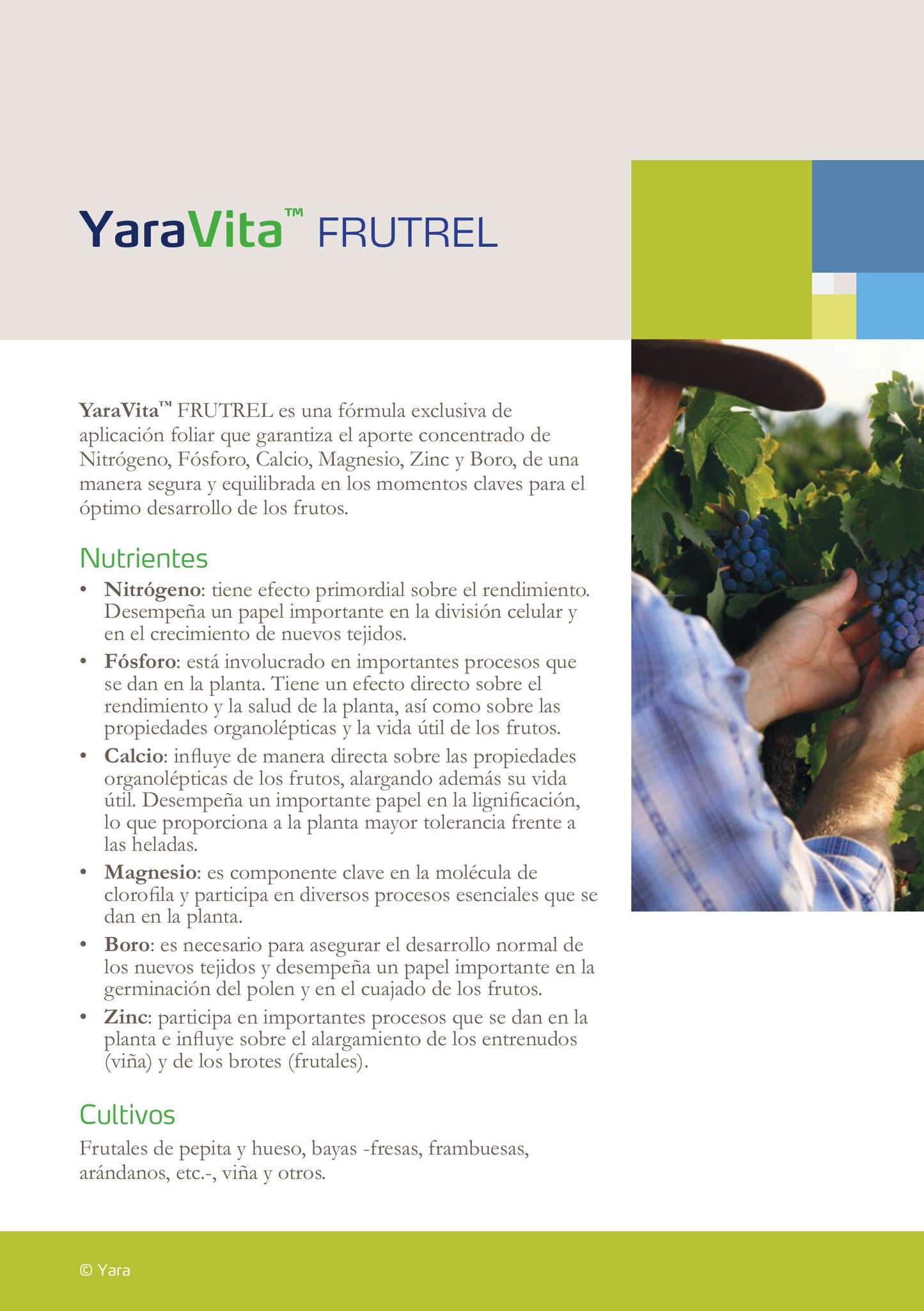 YaraVita FRUTREL. Produce flores mas potentes.