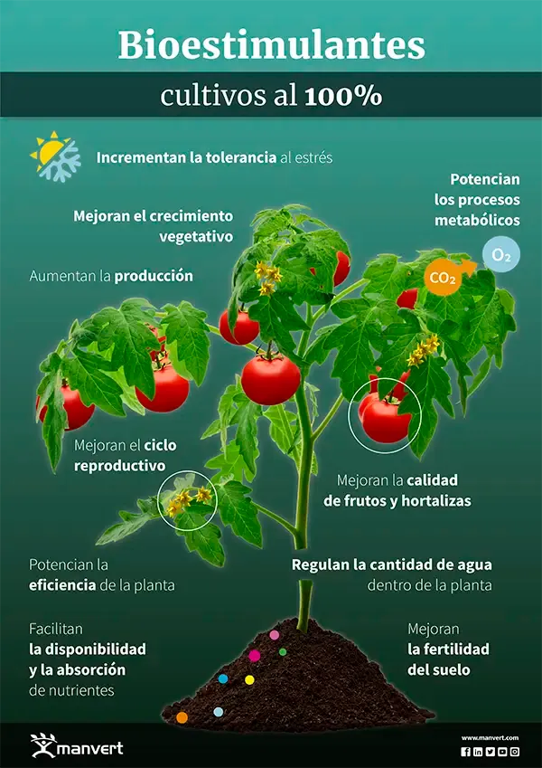 Bioestimulantes