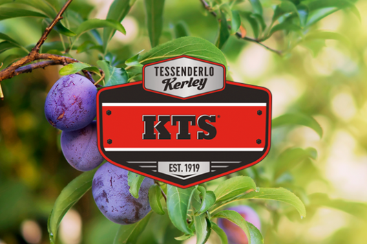 KTS® es un fertilizante claro, libre de nitratos y cloruros con el mayor contenido de potasio y azufre líquido.