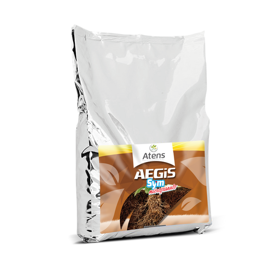 Aegis Sym Irriga