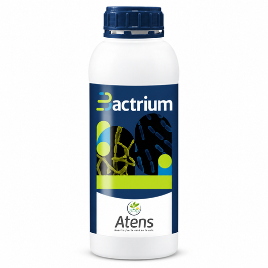 BACTRIUM Biofertilizante Radicular Líquido con Bacillus megaterium
