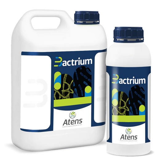 BACTRIUM Estimulante de las plantas aplicado en agua de riego