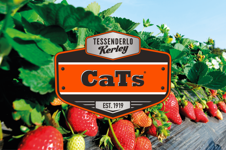 CATS 20L - Corrector de Sodio y Aporte de Calcio