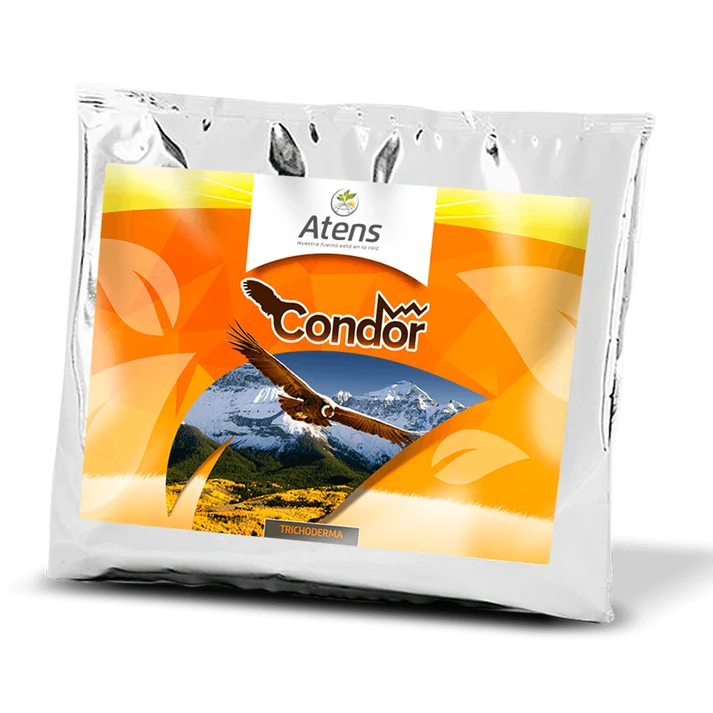 CONDOR SHIELD