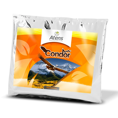 CONDOR SHIELD