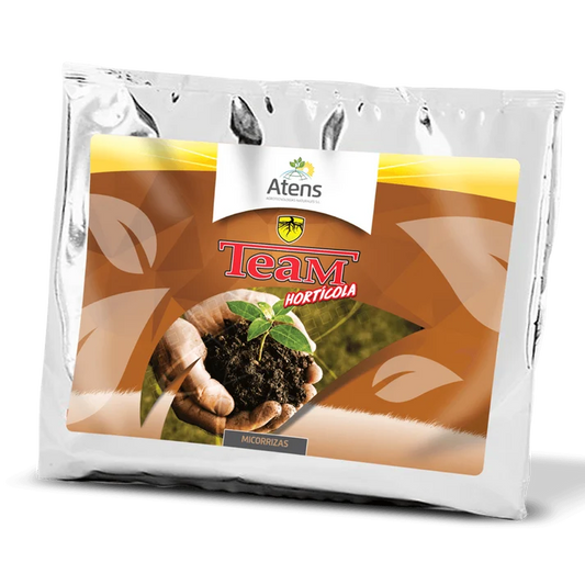 Team Hortícola Atens | Bioestimulante Radicular con Micorrizas