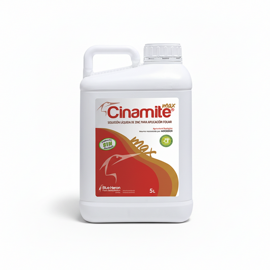 CINAMITE MAX. Red spider, crystal spider