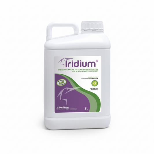 IRIDIUM. Powdery mildew, ash