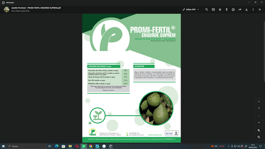 PROMI-FERTIL® ENGORDE SUPREM | Abono PK 25-32 con Boro y Molibdeno